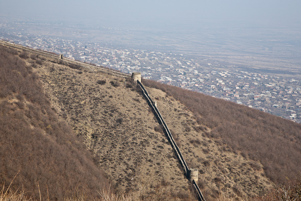 Signahi
